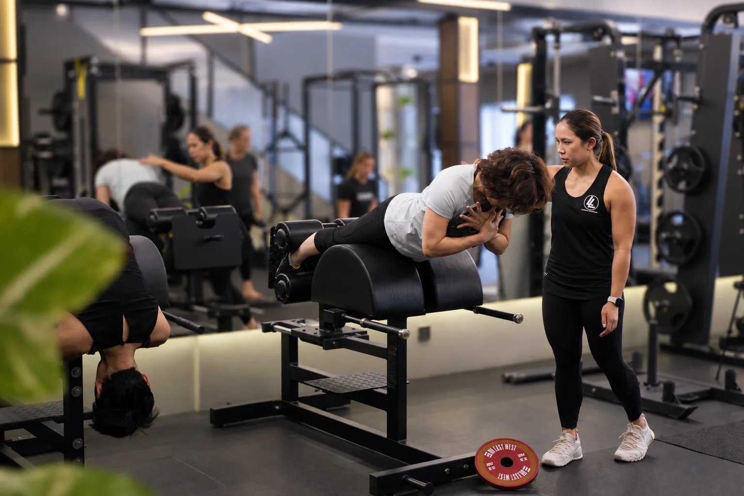 Small group training session with an LLFitness coach